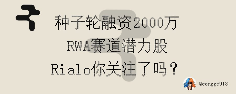 2026年RWA赛道头号玩家？起底种子轮2000万美金的Rialo image 0