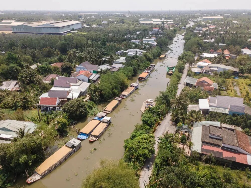 The New York Times: Middle East war cripples the world’s second largest rice exporter