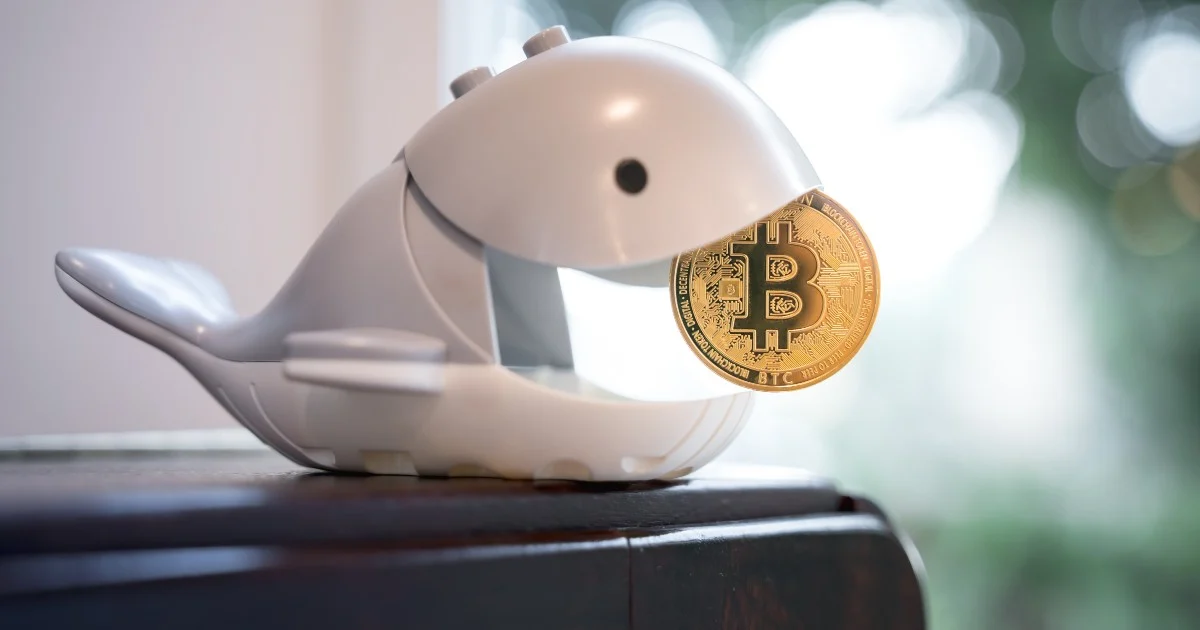 15年間休眠のビットコインが移動、平均取得単価は約10ドル  image 0