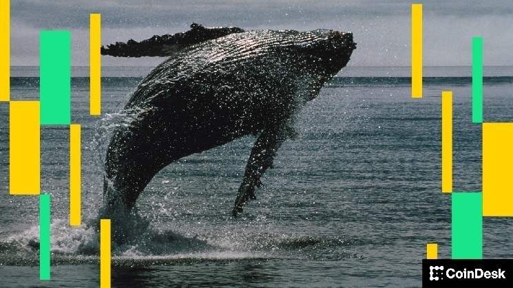 A single crypto trader is sitting on a $194 million bet that bitcoin and ether will keep climbing image 1