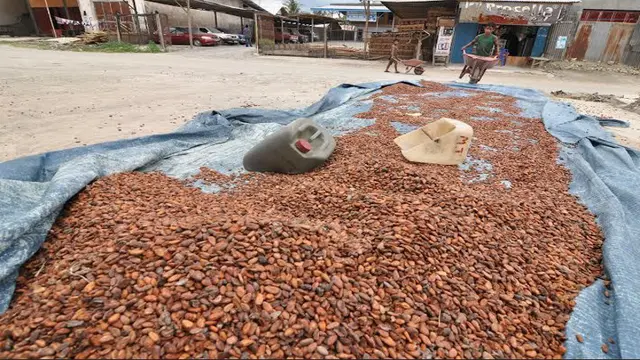 Strategi Raksasa Produsen Cokelat Rebut Hati Konsumen saat Biaya Tinggi image 1