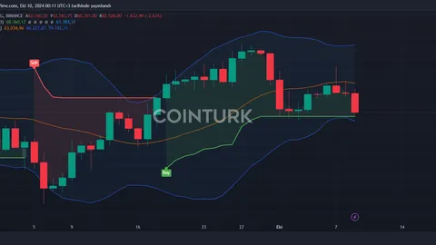Bitcoin Price Drops Due to Concerns Over Chinese Market Influence