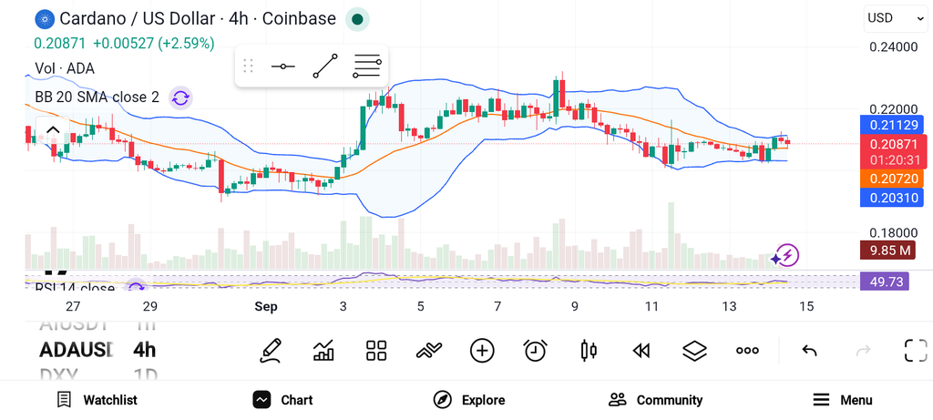 3 Crypto Projects Showing Strong Momentum: TRX, ADA, BCH image 1
