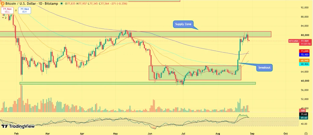 Bitcoin Price Holds $73K as Whales Accumulate — Is $100K the Next Target? image 2