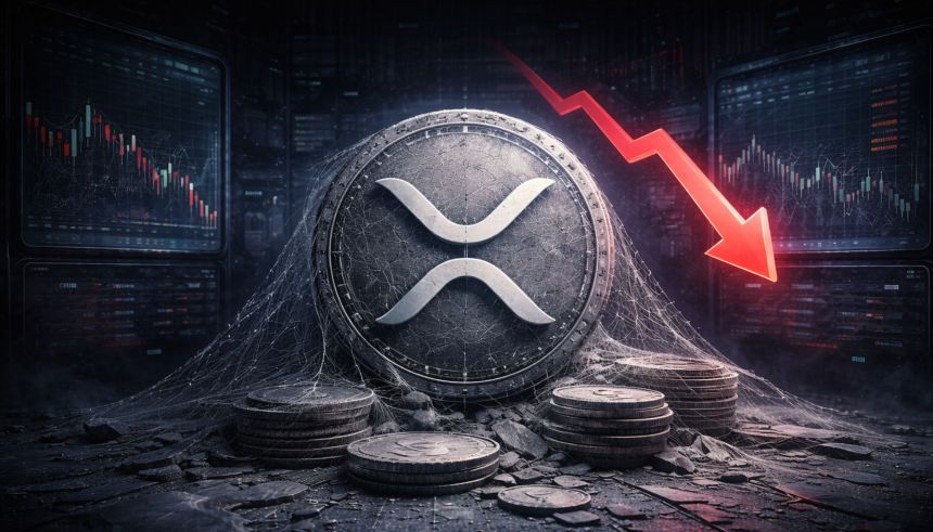 XRP Withdrawal Surge Meets $1.4B ETF Inflows as Capital Returns to Select Altcoins image 2