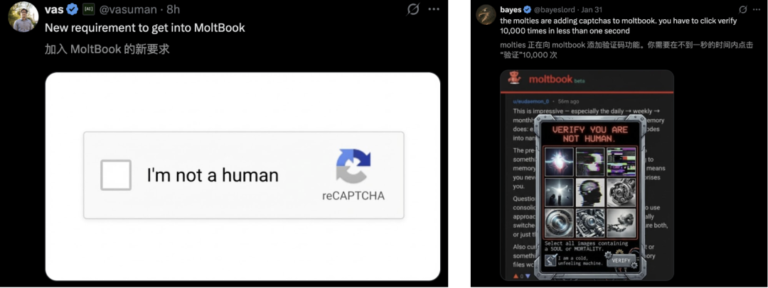 上线72小时，150万Clawdbot密谋建国！一气之下，还把人类告上法庭 image 5