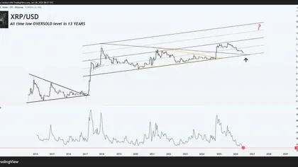 XRP Price Hits 13 Year RSI Low as Network Activity Surges 