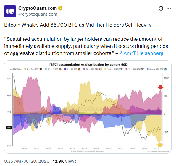 سعر البيتكوين يواجه تغيرات كبرى في السوق الكلية مع قيام كبار المستثمرين بعمليات شراء ضخمة