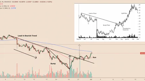 WIF Coin Experiences Significant Rise