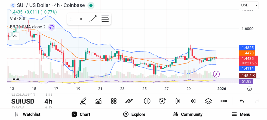 3 Promising Crypto Coins To Accumulate For Long Term Gains image 1