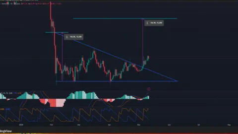 BNB Breakout Above Key Resistance Sparks $785 Target