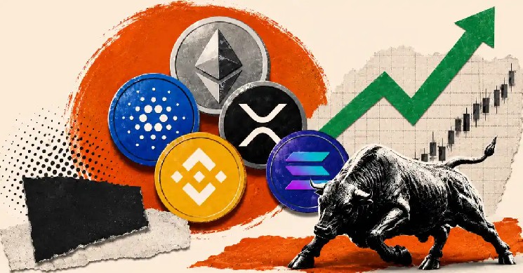 Altcoins Aren’t Dead, But the Easy Money Era Is Over: CryptoQuant image 1