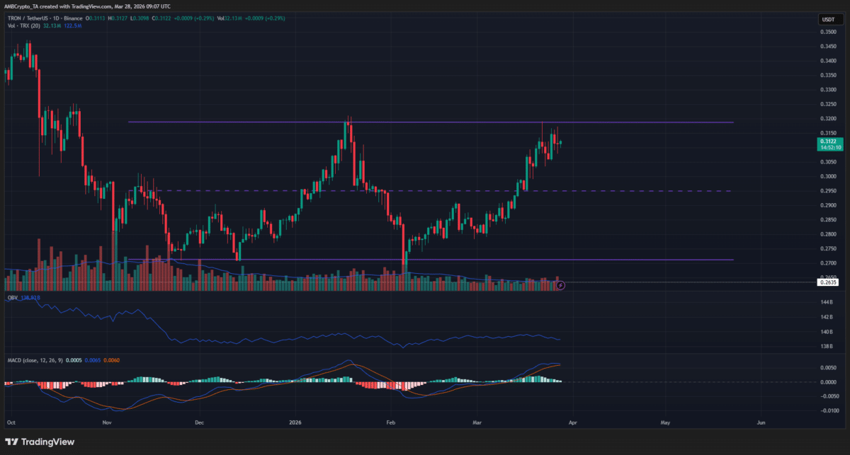TRX at $0.32 – Why volume trends suggest a new price breakout is difficult now