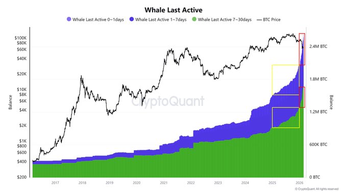Why is Bitcoin’s ‘MOAR’ narrative heating up? ETFs, whales & more… image 3