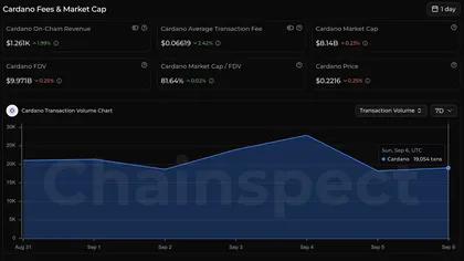 Cardano Price Prediction: Does On-Chain Data Back Up the DEX Volume Hype?