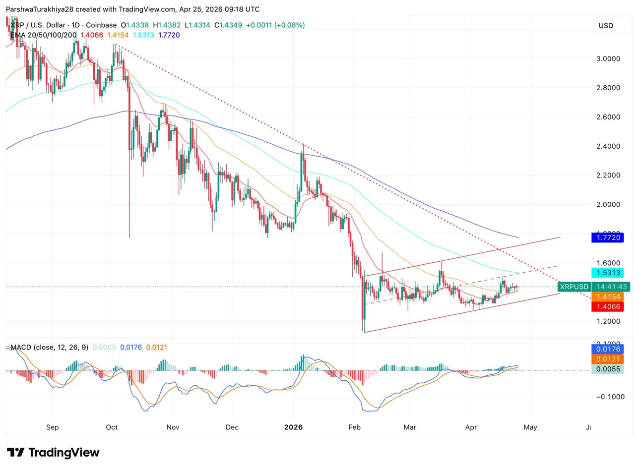 XRP Price Prediction: Ripple’s Own CTO Tells XRP Investors They Are Fooling Themselves