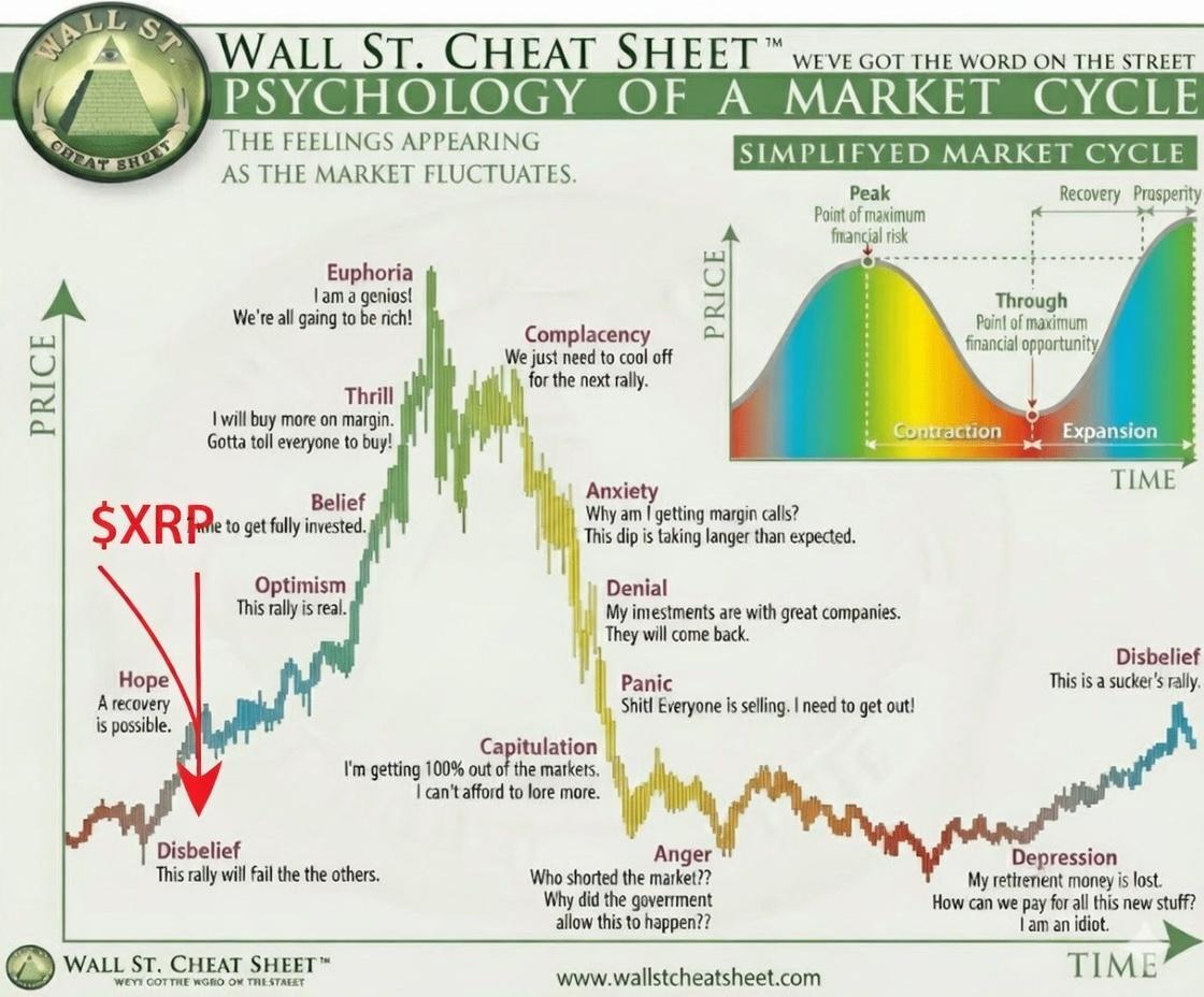 Grok Reveals XRP Current Position in the Market Cycle