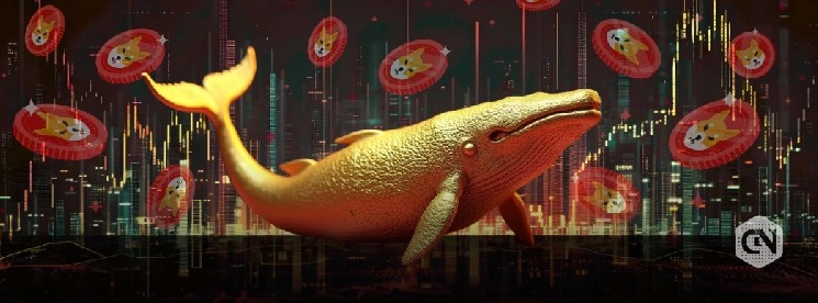 Shiba Inu Faces Volatility Threat as Top Wallets Tighten Their Grip