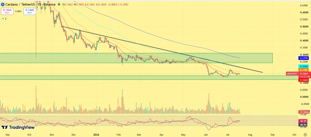 Cardano Price Rises 5%—Are Whales Preparing for a Bigger Rally? image 1