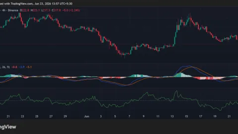 Bittensor (TAO) Under Pressure: Is a Move Back to the Bullish Zone Still Possible?
post-163261
post-163261
post-163261