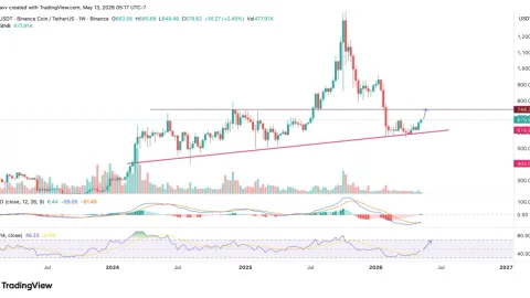 BNB Flips XRP Reclaiming $91B Market Cap—Can the Price Break Above $700