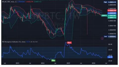 XRP Spot ETF Funding Hits 4-Month Peak — Bulls Taking Control?