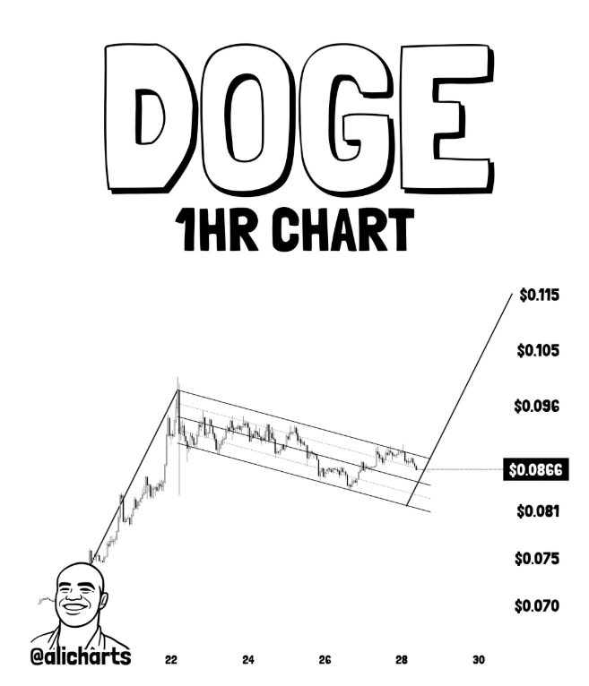 DOGE Price Could Be Setting Up for a 28% Move as $0.081 Holds Firm