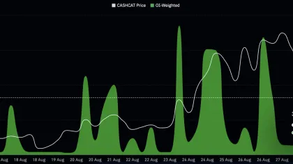 CASHCAT gains 36% – What this means in a market not favoring memecoins
