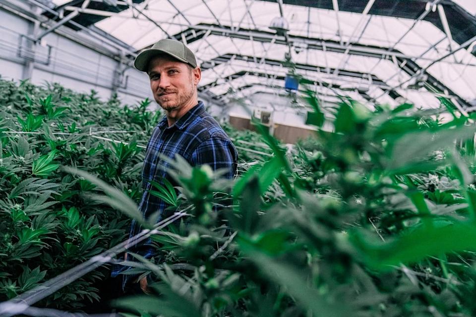 Tilray Achieved All-Time Highs Last Quarter, but You May Be Surprised by the Main Source of Its Growth in the Past Four Years