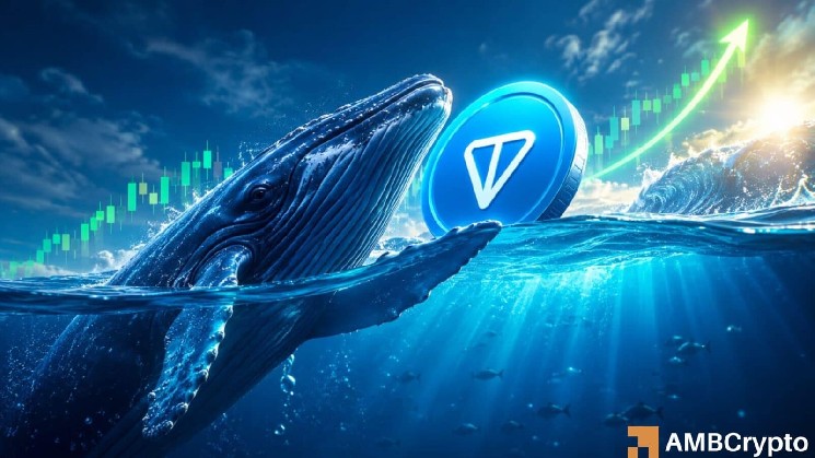 Toncoin whale takes a $5 mln bet: Will this help TON flip $3? image 1