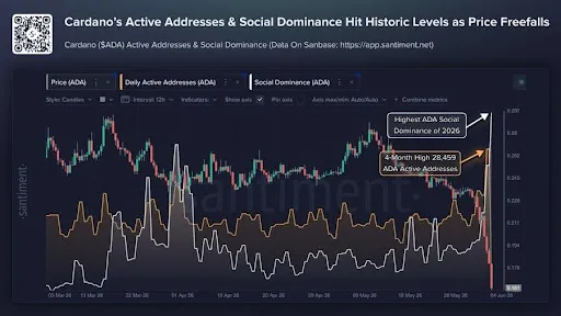 Cardano Crashes To 5-Year Lows As Hoskinson’s Warning Sparks Market Panic