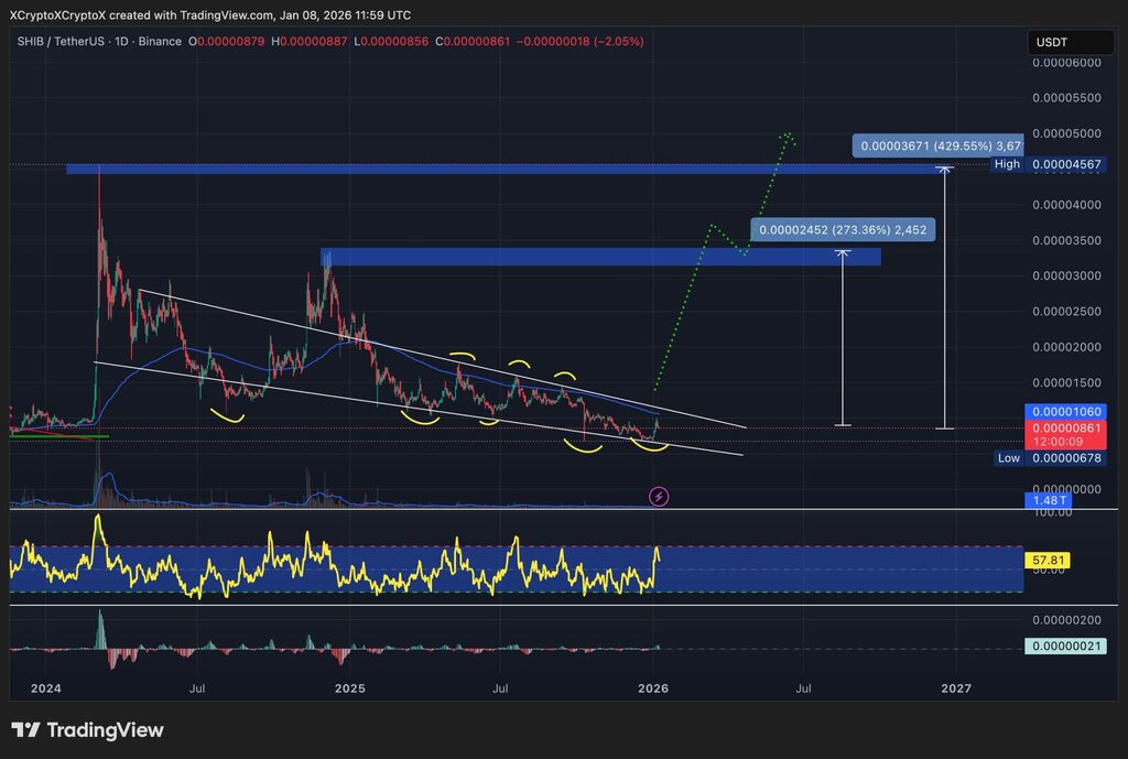 Shiba Inu builds momentum in January as meme-coin risk comes back online