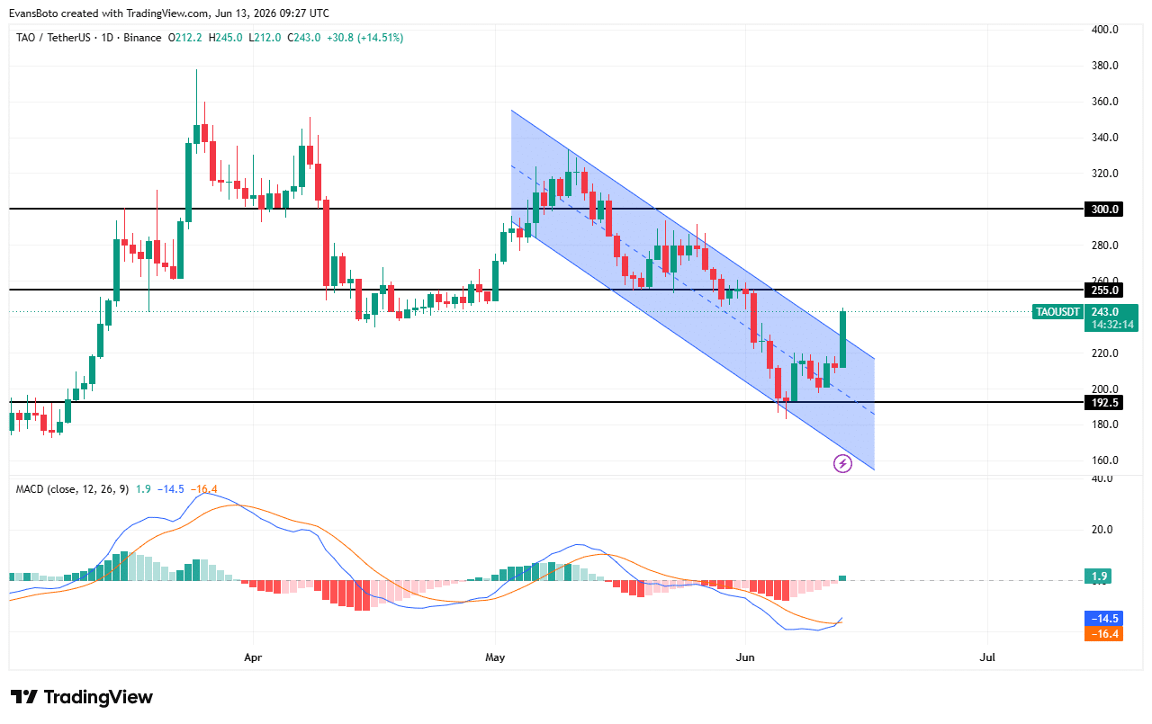 Has Bittensor [TAO] finally ended its correction after a 16% breakout rally? image 3