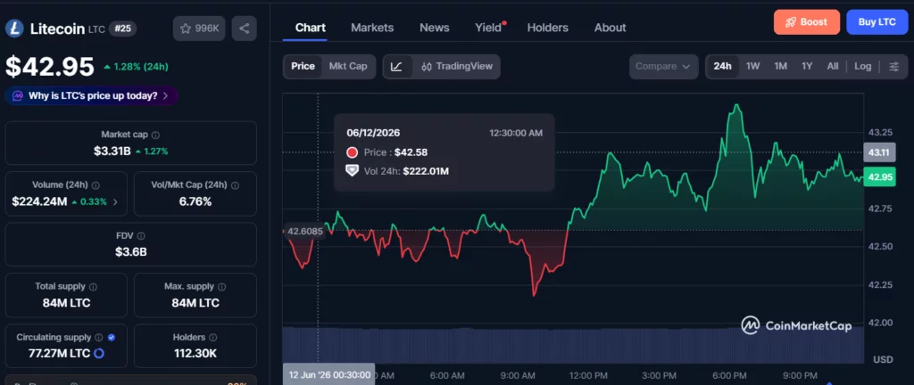 Litecoin whales accumulate as LitVM debate puts LTC back in focus