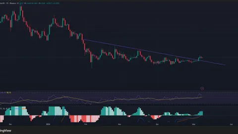 Cardano Price Rebounds as Whale Buying Strengthens ADA
