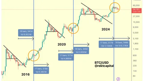 Analysts Predict Bitcoin’s Bull Market Peak in 2025
