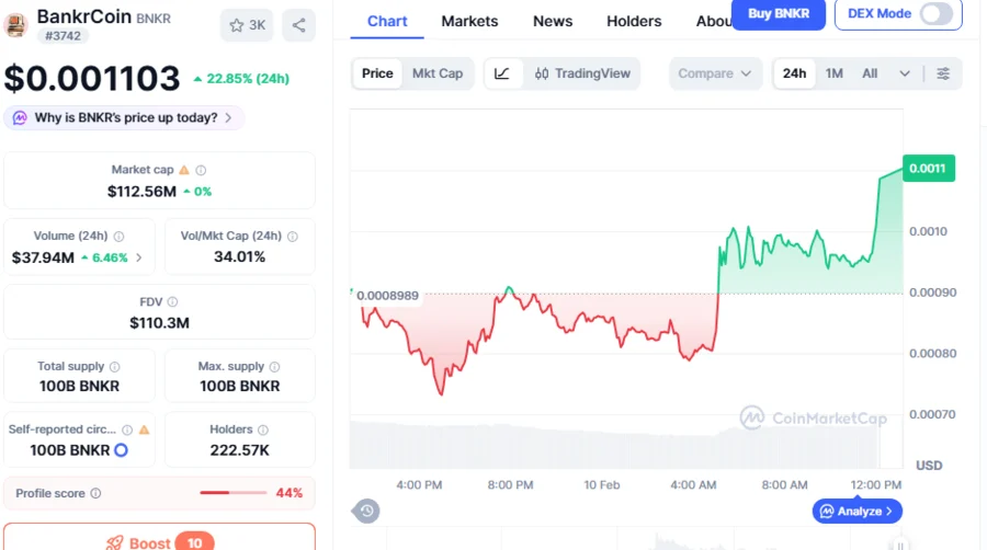 BNKR вырос на 287,1% за месяц и на 518,7% за год, аналитик объясняет волну и рост