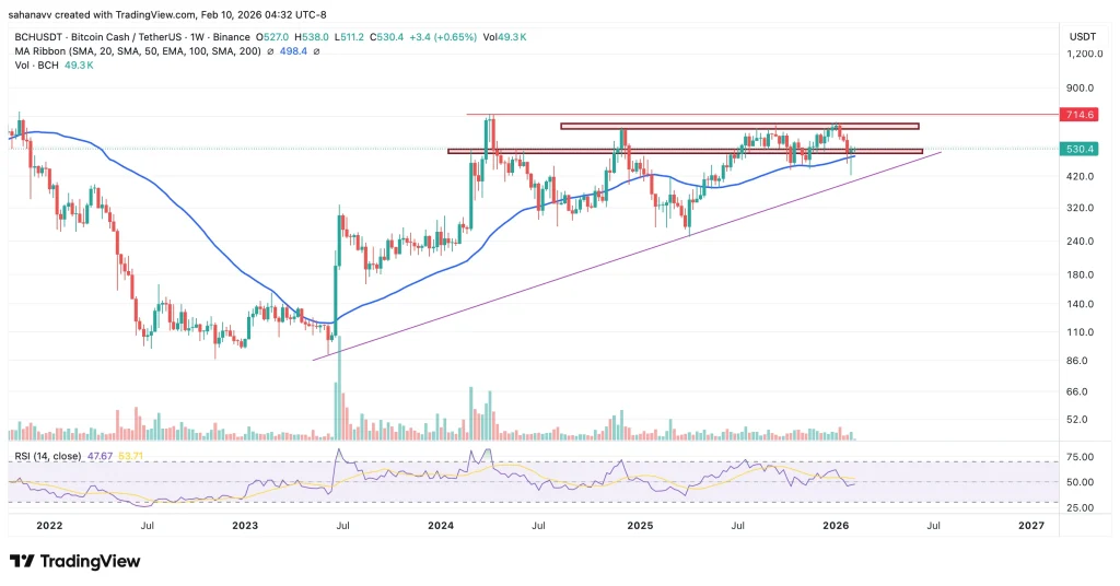 Warum steigt der Preis von Bitcoin Cash (BCH) heute? Zeichnet sich eine 25%ige Aufwärtsbewegung ab? image 1
