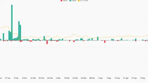 Litecoin Accumulation Zone Draws Market Attention