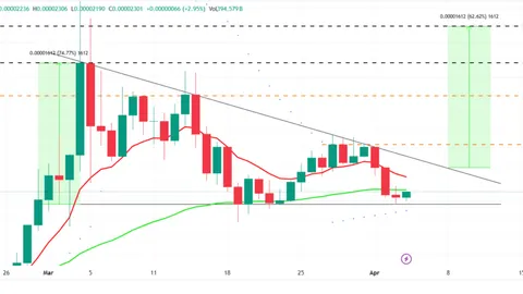Meme Coins Take the Lead in Q1 Gains