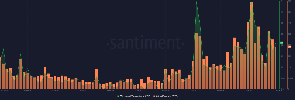 KITE Crypto On-Chain Data Signals Aggressive Expansion as Whale Activity and Volume Surge image 1