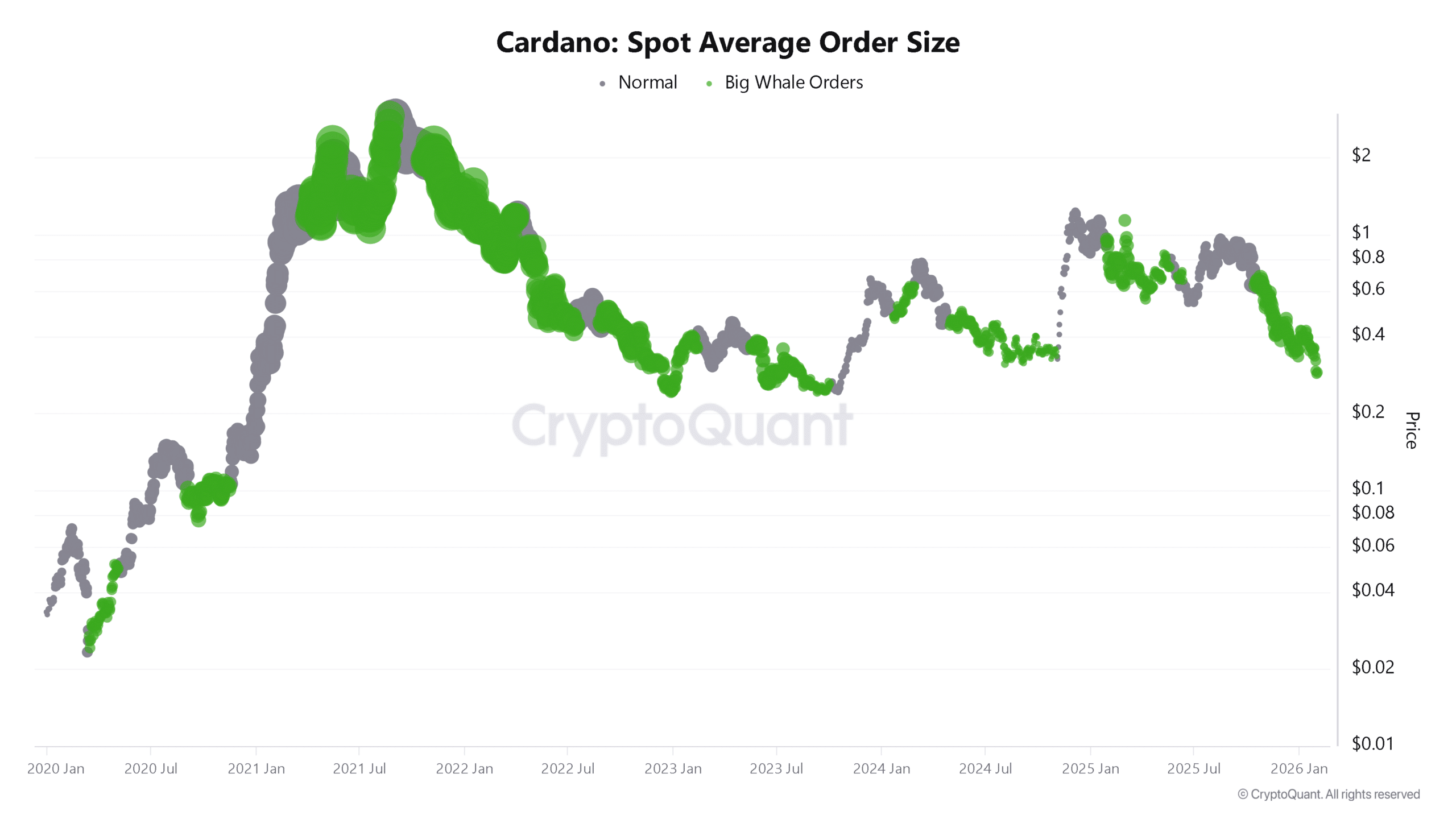 Cardano на важном уровне поддержки: активность крупных держателей указывает на возможный отскок