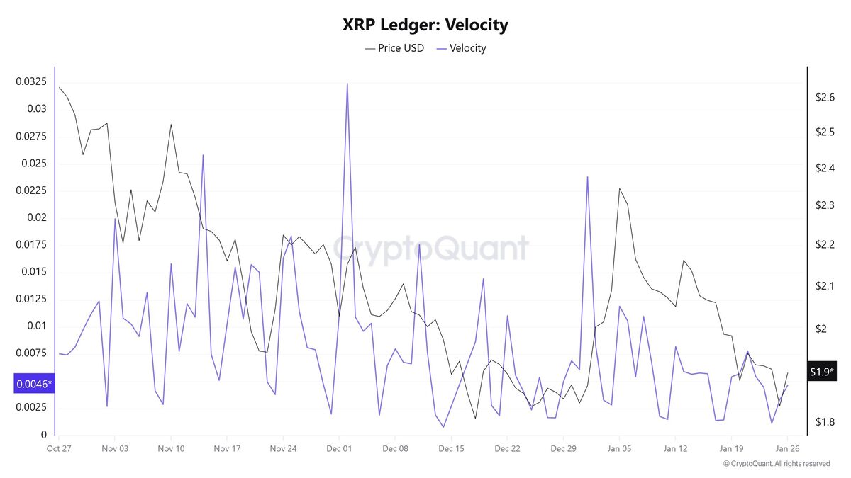 BlackRock’s Quiet XRP Play: Mapping The $16 Trillion Tokenization Bet