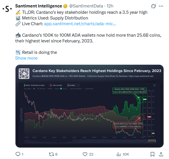 Cardano Price Holds Attention as User Growth Continues Despite ADA Market Pressure