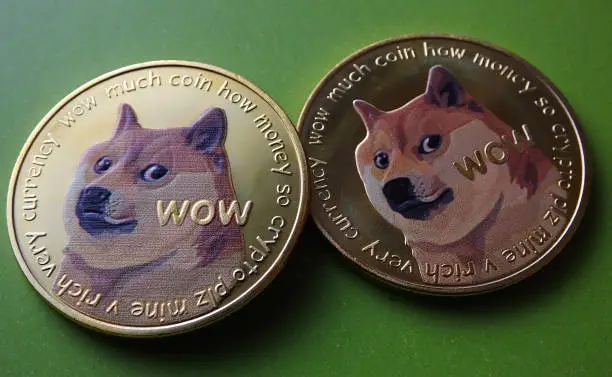 Dogecoin's Capital Flow: What 24-Hour Spot Flow Data Reveals About Its Next Move image 0