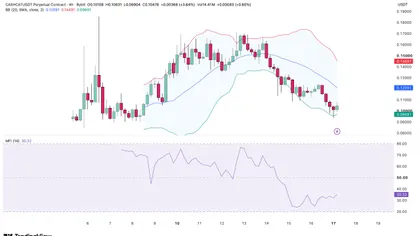 CASHCAT pulls back 16% – $0.144 is still in play ONLY IF…
