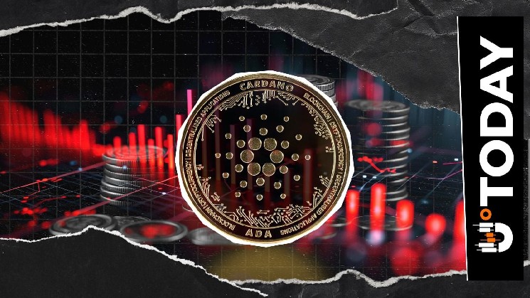 'New Cardano' Decouples From Privacy Coin Rally, Price Falls 7% image 1
