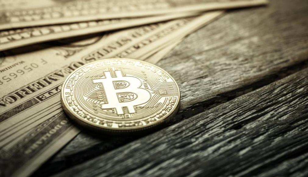  200M Tokens Released Daily: ZKP Crypto’s Auction Draws Massive Interest While XRP and BCH Hit Pivotal Chart Points 