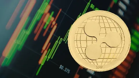 On-Chain Data Points to a Bullish Outlook for XRP: How Should It Be Interpreted?