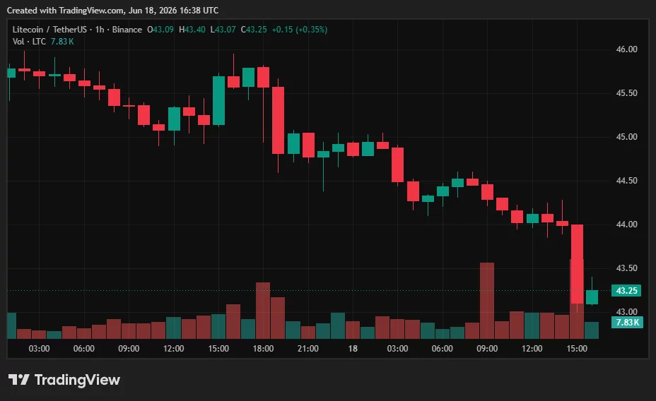 Lite Strategy backs Litecoin Layer-2 bet with $1M investment  image 0
